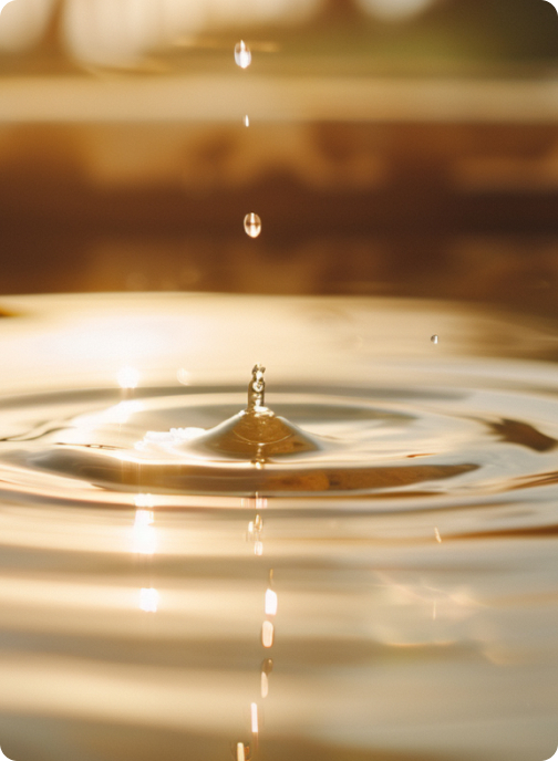 Decorative image of a drop of water representing career meaning.